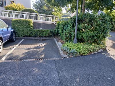 Picture 18